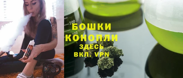spice Арсеньев