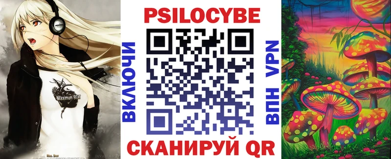 Купить  Котлас  Псилоцибиновые грибы Magic Shrooms 